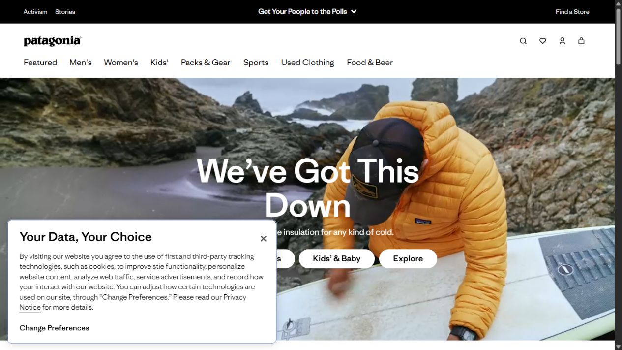 Patagonia website homepage design example
