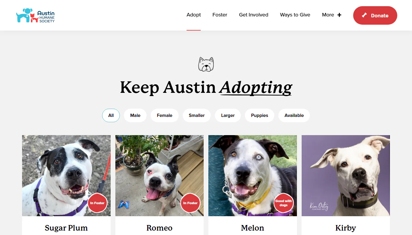 Austin Humane Society animal discovery application