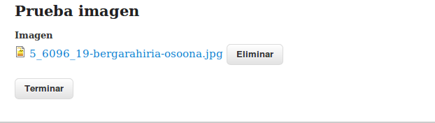 Add cropping option to an image form