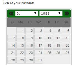 How can I replace the date picker with a text field that shows a date picker when it has the focus?