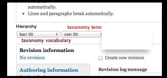 How Can I have Exposed filter for Taxonomy vocabulary in Heirarchical Select?